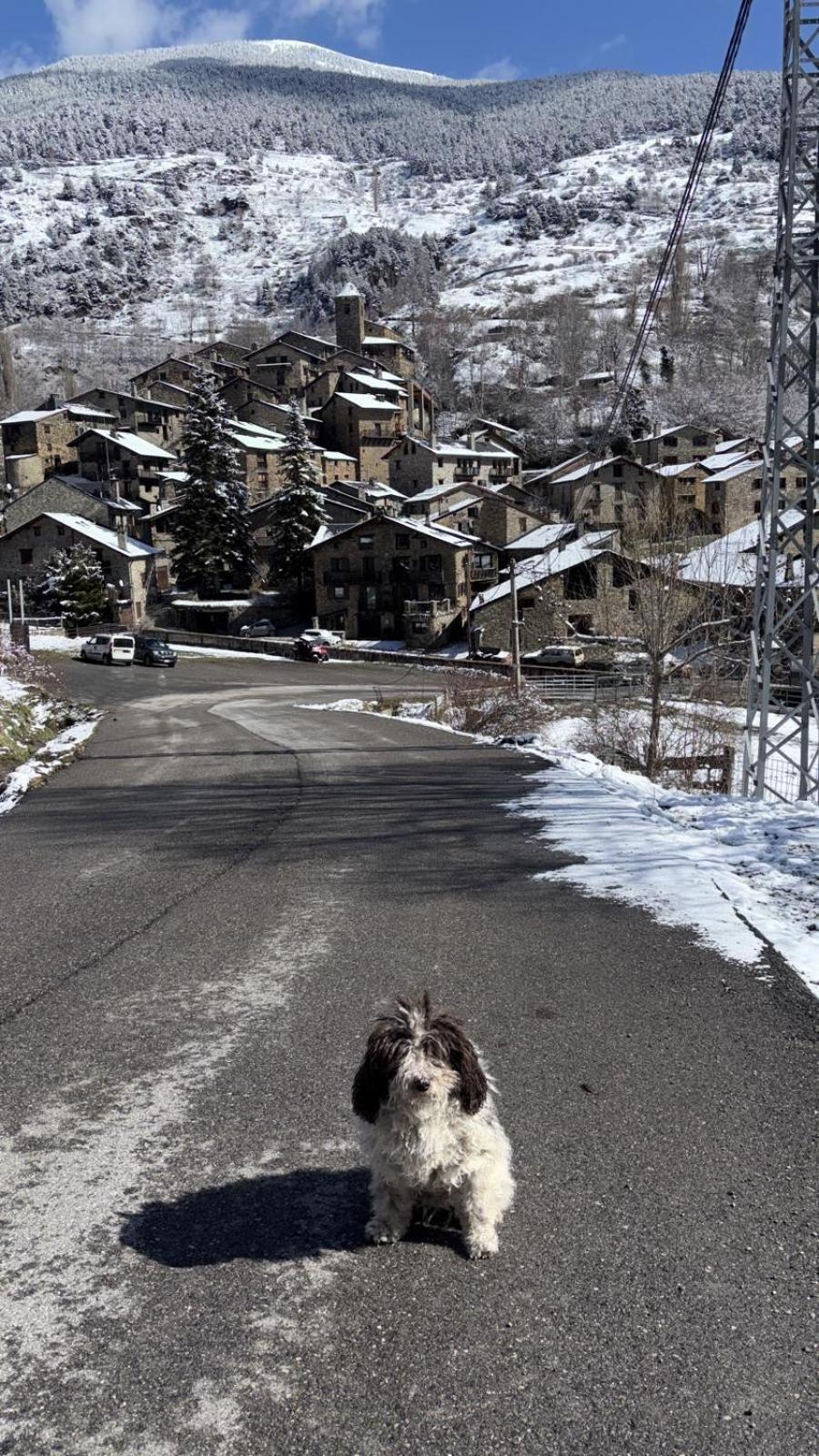 Hotel Valls Valira Os de Civis Luaran gambar