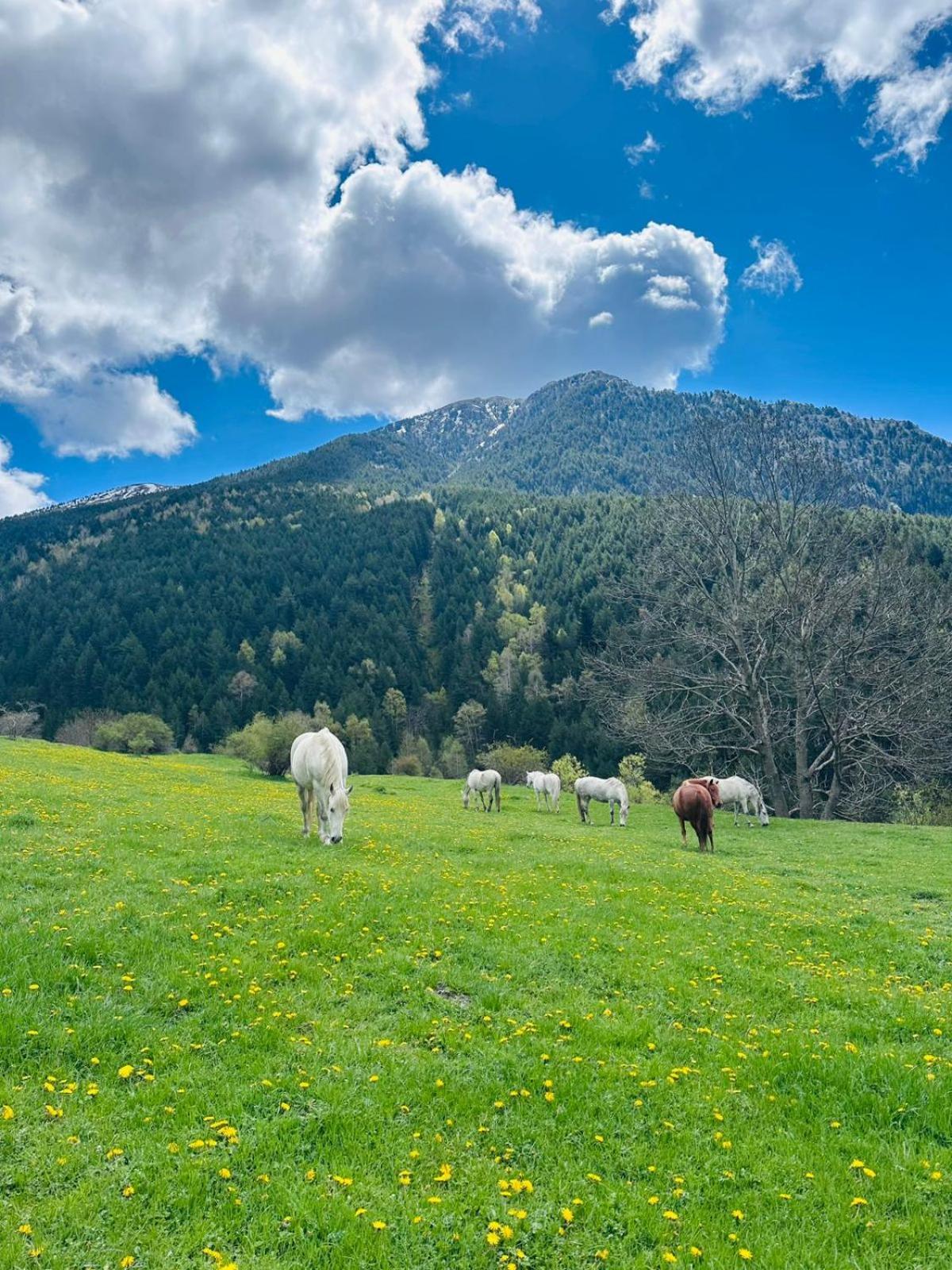 Hotel Valls Valira Os de Civis Luaran gambar